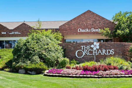 The Orchards